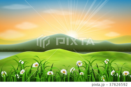 Mountain landscape background with daisies flower Mountain landscape background with daisies flower 37626592