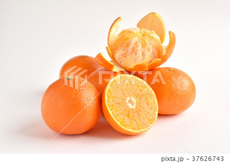 天草（あまくさ） 37626743