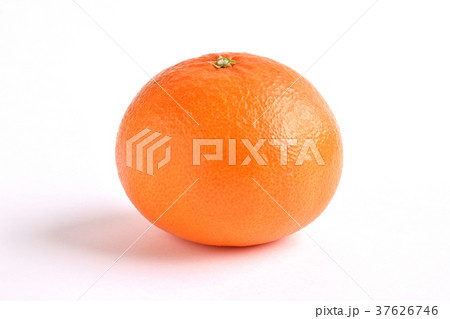 天草（あまくさ） 37626746