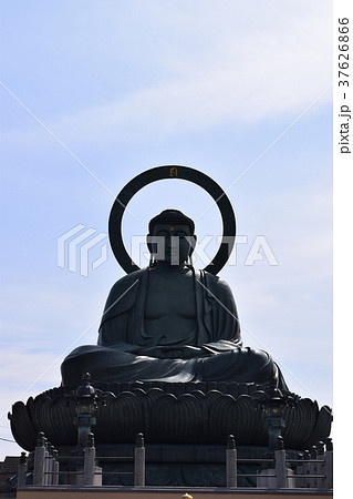 高岡大仏 37626866