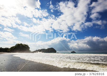 Coast in Costa Rica Coast in Costa Rica 37626916
