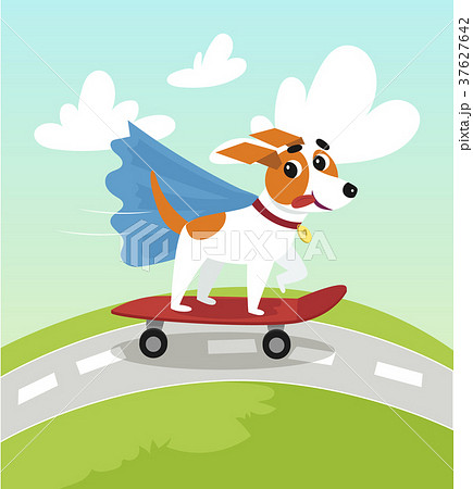 Cute jack russell terrier in blue cape riding with 37627642