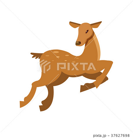 Spotted fallow roe deer jumping, wild animal Spotted fallow roe deer jumping, wild animal 37627698