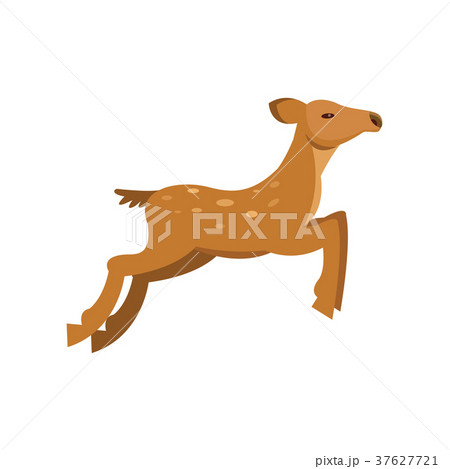 Fallow sika roe deer jumping, wild animal cartoon 37627721