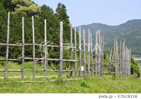 設楽原決戦場　馬防柵 37628336