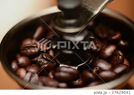 コーヒー豆 37629041