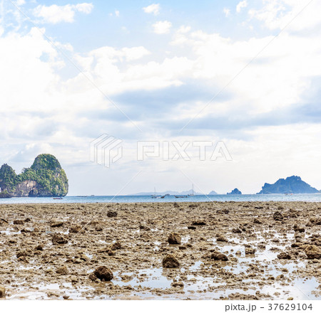 Popular travel tropical karst rocks Railay 37629104
