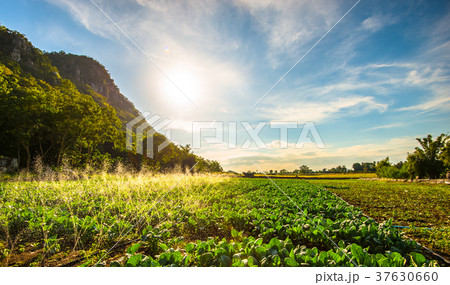 Limestone mountains with bright sky10 37630660