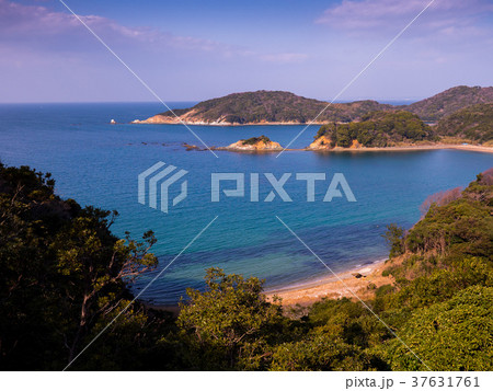 答志島の自然 37631761