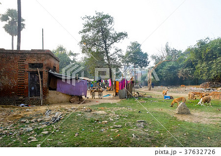インドの街角 37632726