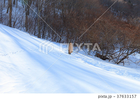 冬のマチガ沢園地（国道291） 37633157