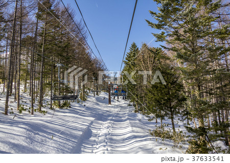 長野県　開田高原マイアスキー場 37633541