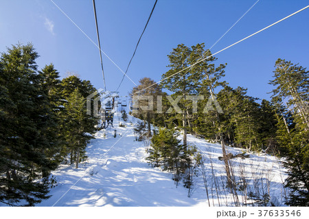 長野県　開田高原マイアスキー場 37633546