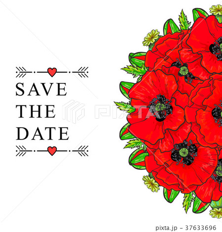 Vector hand drawn poppy bouquet save the date 37633696