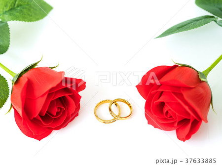 Red roses and gold rings on white 37633885