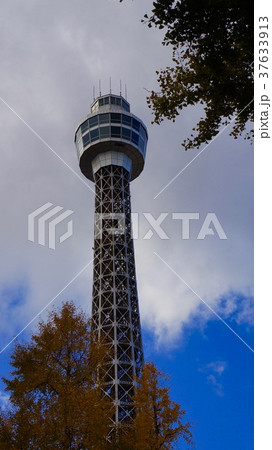 マリンタワー 37633913