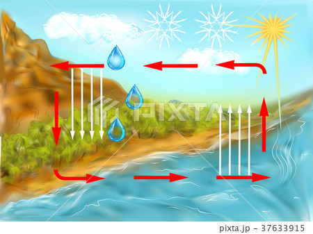 water cycle 37633915
