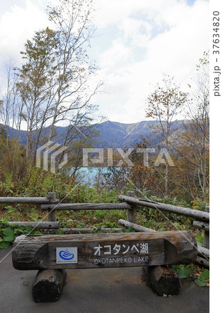 北海道　千歳　オコタンペ湖 37634820