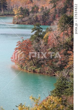 北海道　千歳　オコタンペ湖 37634822