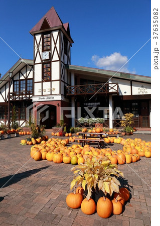 北海道　ニセコ駅 37635082