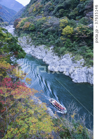 紅葉の大歩危峡 37635146