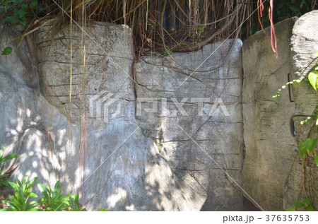 Stone in the forest. 37635753