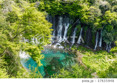 【静岡県】白糸の滝 37635948