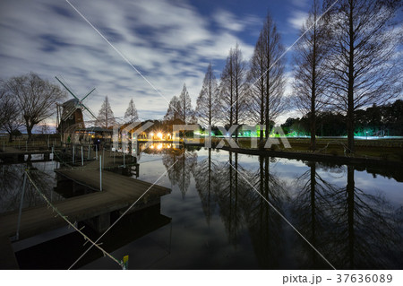 【千葉】あけぼの山農業公園の風車と星空 37636089