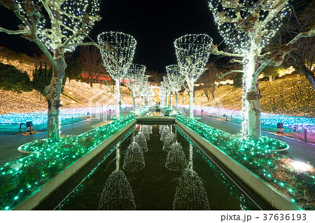 【埼玉】西武園遊園地のイルミネーション 37636193
