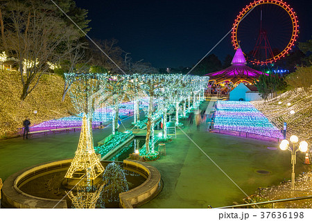 【埼玉】西武園遊園地のイルミネーション 37636198