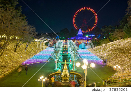 【埼玉】西武園遊園地のイルミネーション 37636201