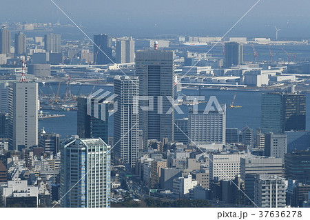 日本の東京都市景観「豊洲などを望む」=都内4年ぶり大雪一夜明け・2018年1月23日撮影 日本の東京都市景観「豊洲などを望む」=都内4年ぶり大雪一夜明け・2018年1月23日撮影 37636278