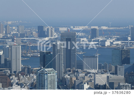日本の東京都市景観「豊洲などを望む」=都内4年ぶり大雪一夜明け・2018年1月23日撮影 日本の東京都市景観「豊洲などを望む」=都内4年ぶり大雪一夜明け・2018年1月23日撮影 37636280