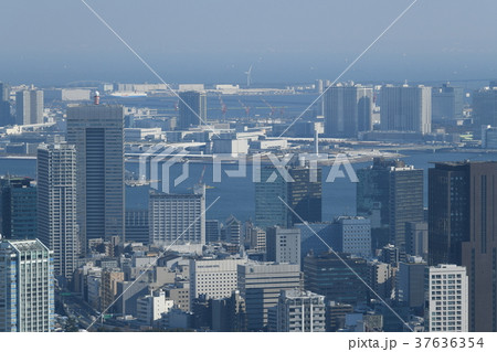 日本の東京都市景観「豊洲などを望む」=都内4年ぶり大雪一夜明け・2018年1月23日撮影 日本の東京都市景観「豊洲などを望む」=都内4年ぶり大雪一夜明け・2018年1月23日撮影 37636354