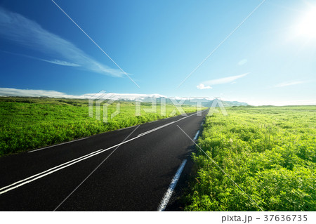 road in summer Iceland 37636735