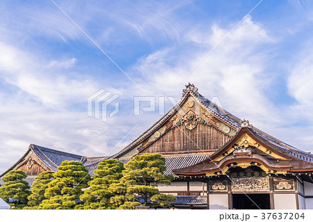 日本の風景 京都 秋の二条城(二の丸御殿) 37637204