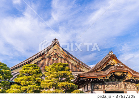 日本の風景 京都 秋の二条城(二の丸御殿) 37637208