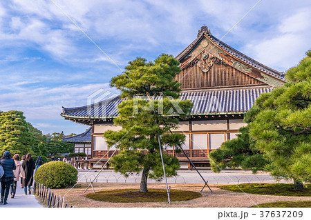 日本の風景 京都 秋の二条城(二の丸御殿) 37637209