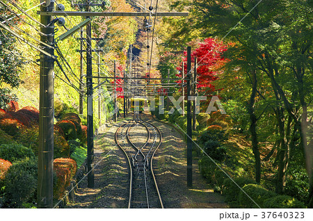 紅葉の高尾山 ケーブルカー車内からの紅葉と線路 紅葉の高尾山 ケーブルカー車内からの紅葉と線路 37640323