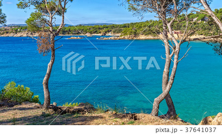 Nice detail from Costa Brava coastal in Spain Nice detail from Costa Brava coastal in Spain 37641037
