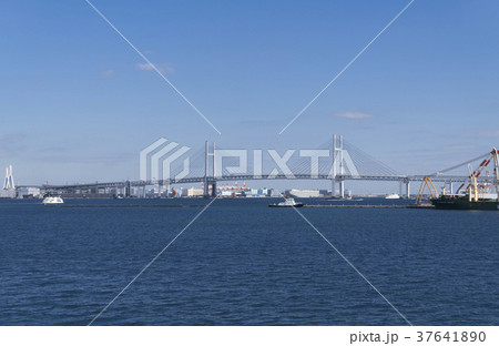 横浜ベイブリッジと本牧埠頭　大黒埠頭 37641890