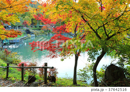 秋の飛騨高山 37642516