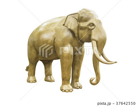 Elephant statue isolated Elephant statue isolated 37642550