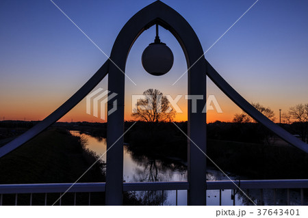 埼玉県 見沼田んぼの美しい朝焼けの風景 埼玉県 見沼田んぼの美しい朝焼けの風景 37643401