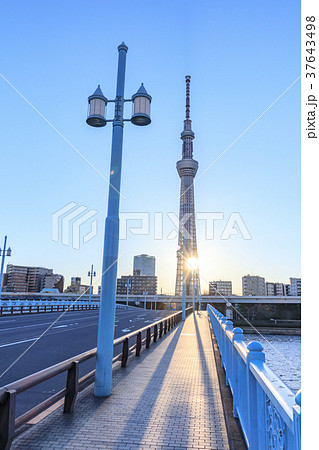都市風景 朝 言問橋と東京スカイツリーの写真素材