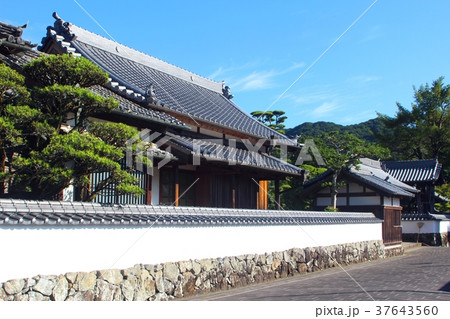 山際通りの風景 山際通りの風景 37643560