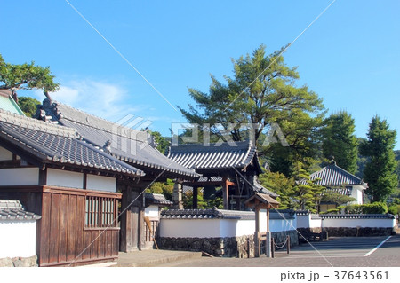 山際通りの風景 山際通りの風景 37643561