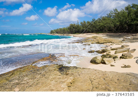 Turtle Bay Pacific Ocean Beach 37643585