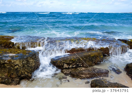 Turtle Bay Pacific Ocean Beach Turtle Bay Pacific Ocean Beach 37643791