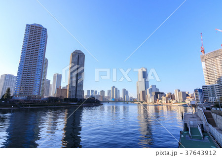 都市風景　月島の高層マンション群 37643912